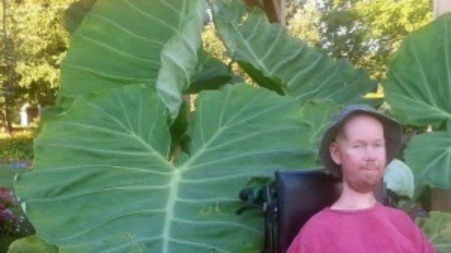 Josh Spece in front of a Colocasia 'Thailand Giant' from his garden