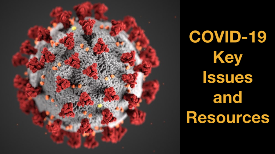 Image representing the coronavirus. Text: COVID-19 Key Issues and Resources