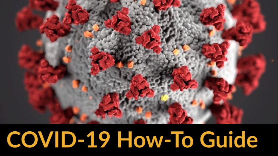 graphical representation of Covid-19 virus. Text: COVID-19 How-To Guide