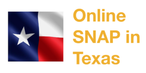 Texas state flag. Text: Online SNAP in Texas