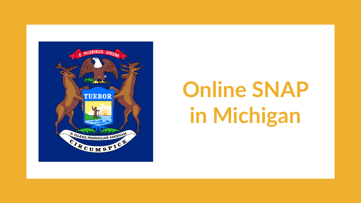 Michigan state flag. Text: Online SNAP in Michigan