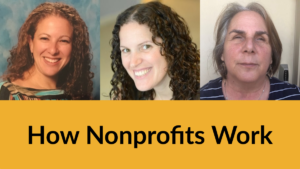 Headshots of Tamar Davis Erica Goldman and Michelle Friedman. Text: How Nonprofits Work