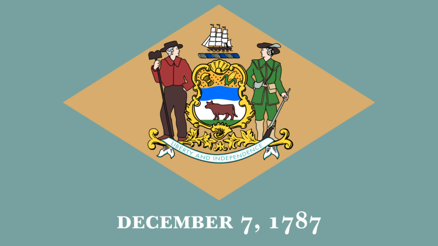 Delaware state flag