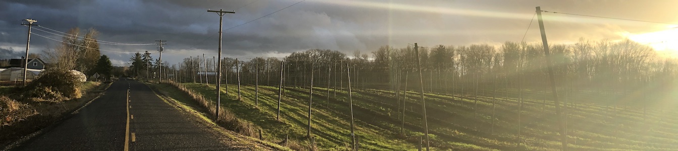 A photo taken by Leo Allanach showing a road with the sun setting