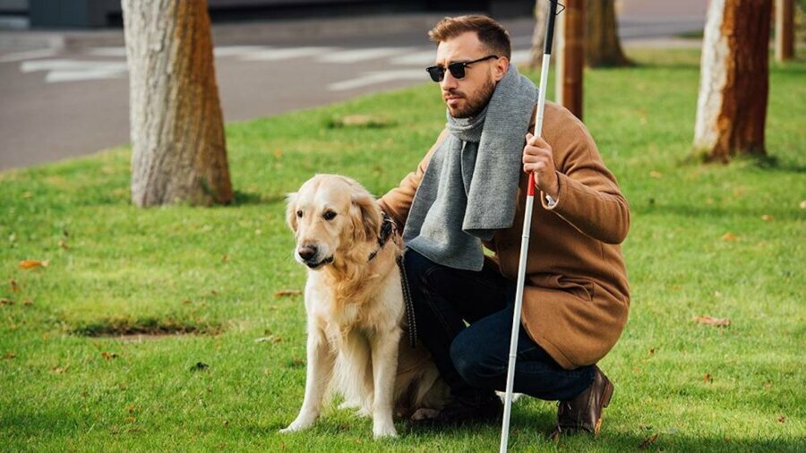 A blind man holding a white cane with his service dog.