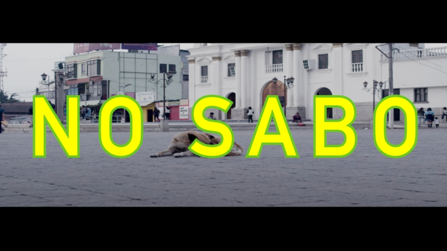 Title card for No Sabo over a shot from the film of a dog in a city plaza