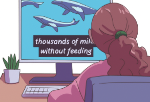 a person watching a video with captions demonstrating flexibility in use