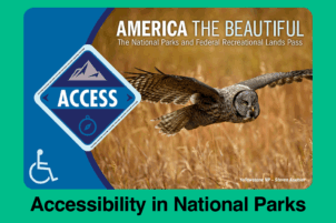 Accessibility in National Parks: An Intentional Approach to Ensuring Disabled Citizens Have Access to Recreation of Our Choice