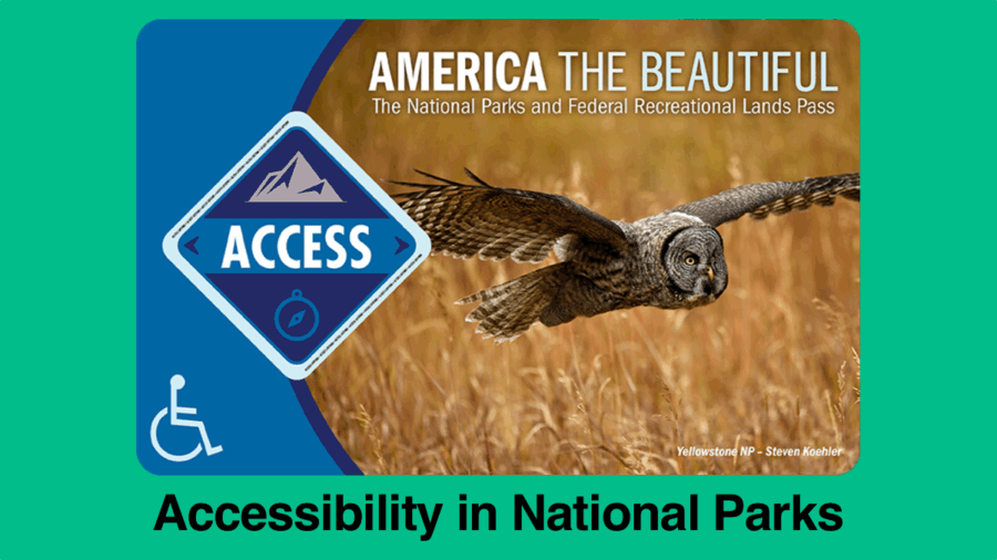 an access pass for national parks with an accessibility icon on it and a photo of a bald eagle with text on the card reading America the Beautiful. text outside of the card reads Accessibility in National Parks